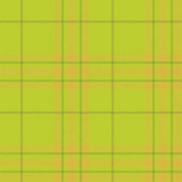 Plaid seamless pattern. Check fabric texture. Vector textile print. Stock-Illustration