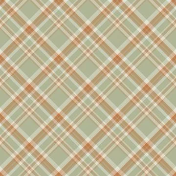 Plaid seamless pattern. Vector background of textile ornament. Flat fabric de Illustrazione stock