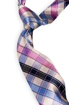 Plaid Tie with Windsor Knot 스톡 사진