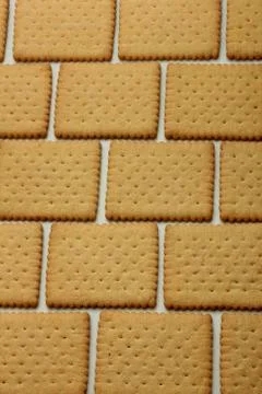 Plain biscuits in a brick pattern, cookie wall Stock Photos