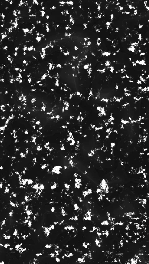 Plain black background featuring an abstract monochromatic grainy texture with w 库存影片 341786450