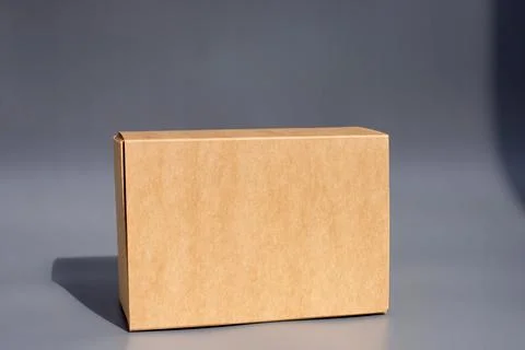 Plain brown cardboard box on gray background with shadow Stock Photos