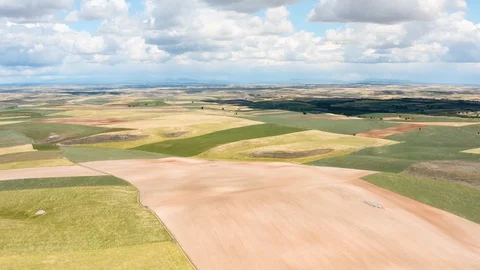 Plain of cereal fields in Castilla y Leon, Spain. Stock Footage 112528237