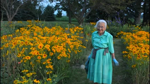 Plain City Ohio 89 year old Amish Great Grandmother watering her flowers in Vídeos de archivo 47341471