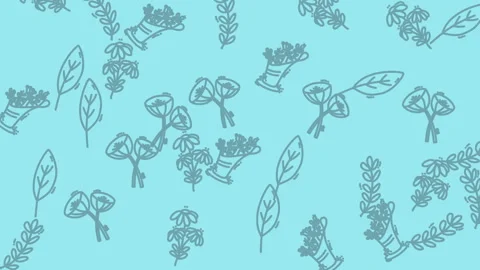 Plain color background Blue botanical line art patterns on grey background suita Vidéo 341807620