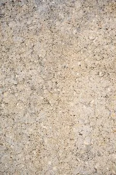 Plain Concrete Pavement Surface Texture Background Stock Photos