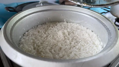 Plain cooked rice inside metal pot Stock Footage 325313572