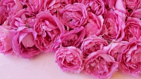 Plain Cosmetic Bottles Surrounded By Rose Flowers, Tilt Stock Footage 83761287