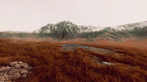 Plain with dried grass and mountain peaks in the background Stock Footage 229844806