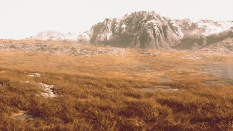 Plain with dried grass and mountain peaks in the background Stock Footage 232926165