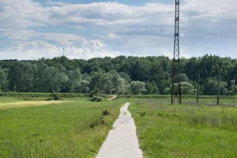 Plain at the edge of a forest Stock Photos