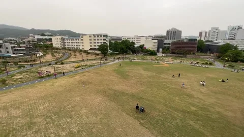 Plain field in Korea Stock Footage 242163034