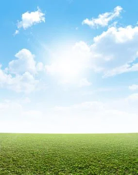 Plain Grass And Blue Sky Stock Illustration