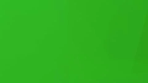Plain Green Backdrop with Fine Grain Texture 스톡 일러스트
