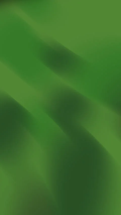 Plain green background with subtle gradients. Stock Footage 311983697