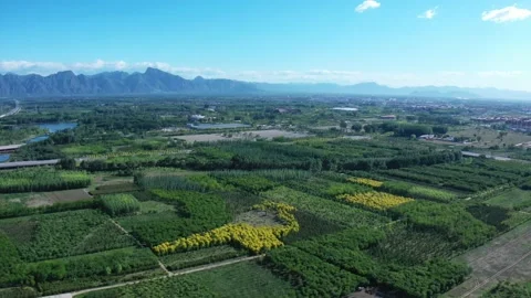 Plain green space and distant mountains Stock-Footage 166790248
