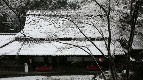 The Plain House of Sagano Vidéo 330591356