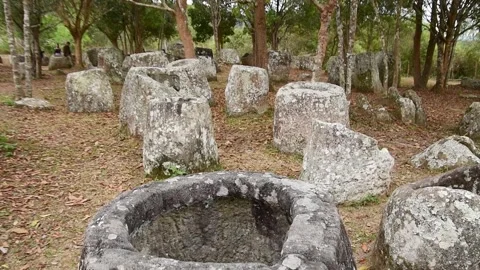 The Plain of Jars site 3.Laos forest. Megalithic archaeological landscape c.. Stock Footage 280062174
