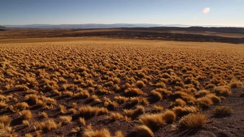 Plain near mountain range Stock Footage 77052514