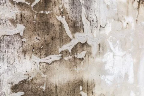 Plain old aged white colored painted faded weathered textured pattern on crac Stock Photos
