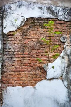 Plain old aged white colored painted faded weathered textured pattern on crac Foto stock