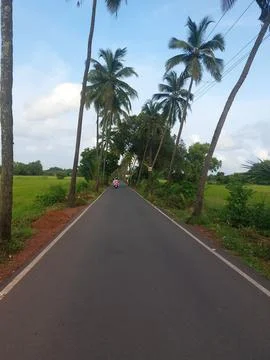 A plain open road in middle of grass fields in Goa tourist sightseeing Stock Photos