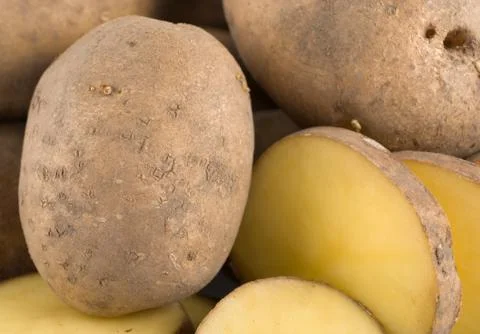 Plain potatoes Stock Photos