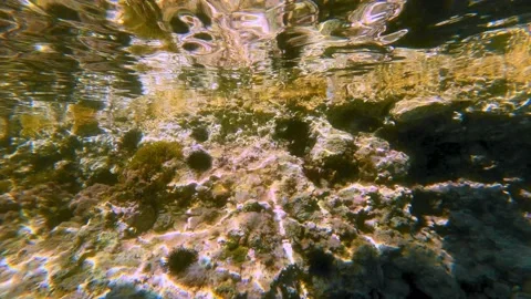 Plain Underwater Background | Stock Video | Pond5