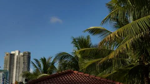 Plain Vietnamese dining. Stock Photos