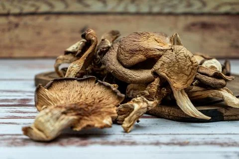 Plain view of some dried oyster mushrooms on a table on a wooden table. Close Stock Photos