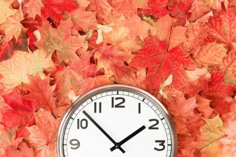 Plain wall clock in the center on red fall foliage Stock Photos