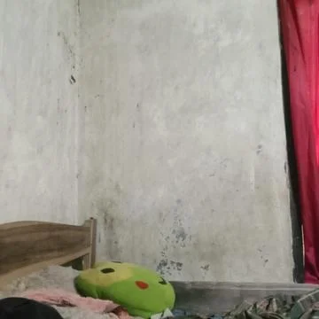 Plain wall 写真素材