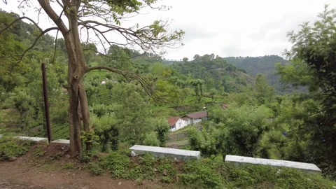 Plain whitewashed kerb blocks along a South Indian hill road with tea terraces Stock Footage 346334946