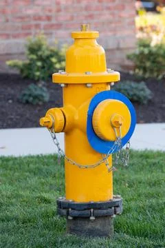 Plain yellow fire hydrant in a vertical format with grass Stock Photos