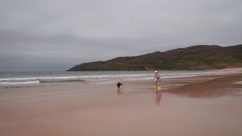 Plaing with the dog Stock-Footage 114951686