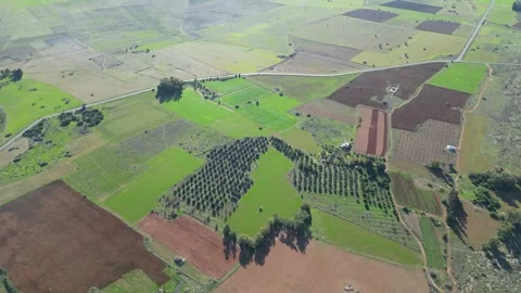 Plains of Cyprus Video stock 265674744