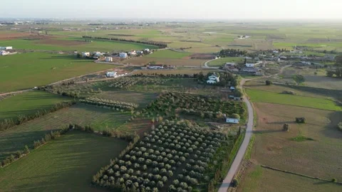 Plains of Cyprus. Stock Footage 265681785