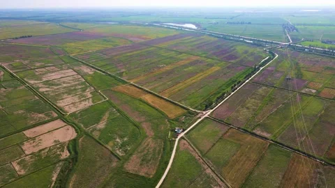 Plains - fields Stock Footage 258089884