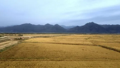 Plains - Harvest - Fields - Mountains Stock Footage 259377762