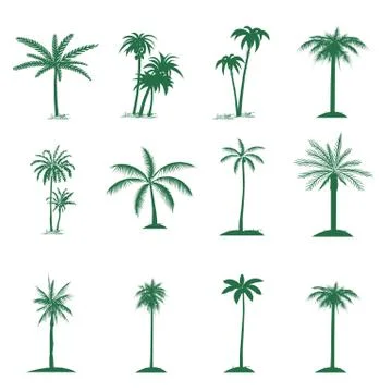 Plam tree set Illustrazione stock