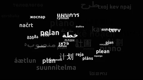 Plan Translated in 56 Worldwide Languages Endless Looping 3d Zooming Wordclou Stock Footage 145203991