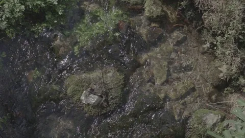 Plan view of flowing stream, slow motion Video stock 79525457