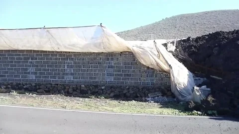 Planas: EU will study whether to exempt La Palma from conditions for Posei aid,  库存影片 204094495