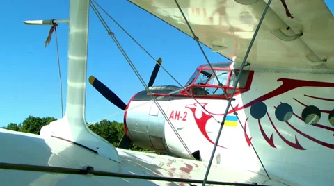 Plane AN-2 stands in aircraft Stock Footage 38334810