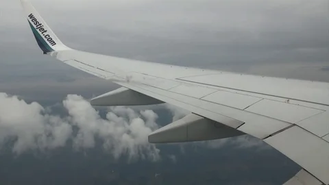 Plane in the air, view from inside. Plane's wing. 库存影片 75284599