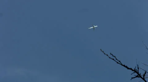 Plane and tree branches Stockbeeldmateriaal 37086178