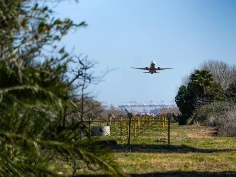 Plane approaching the runway through the trees Stock Photos