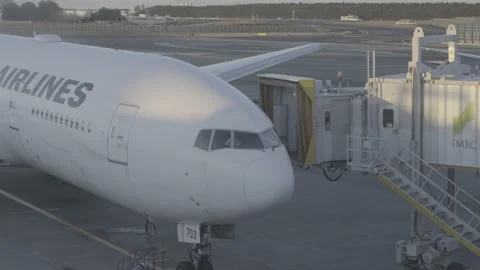 Plane Arrival at Gate Stock Footage 167747781