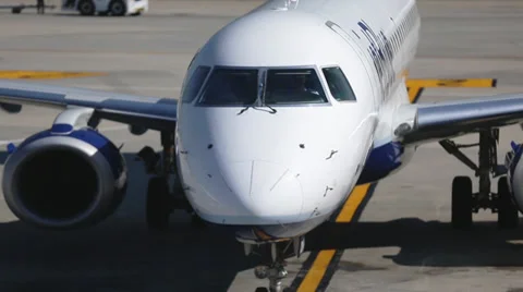 Plane arriving/Leaving Terminal, unloading  baggage Stock Footage 39832048