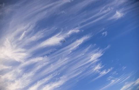 Plane on the blue sky with clouds Stock Photos